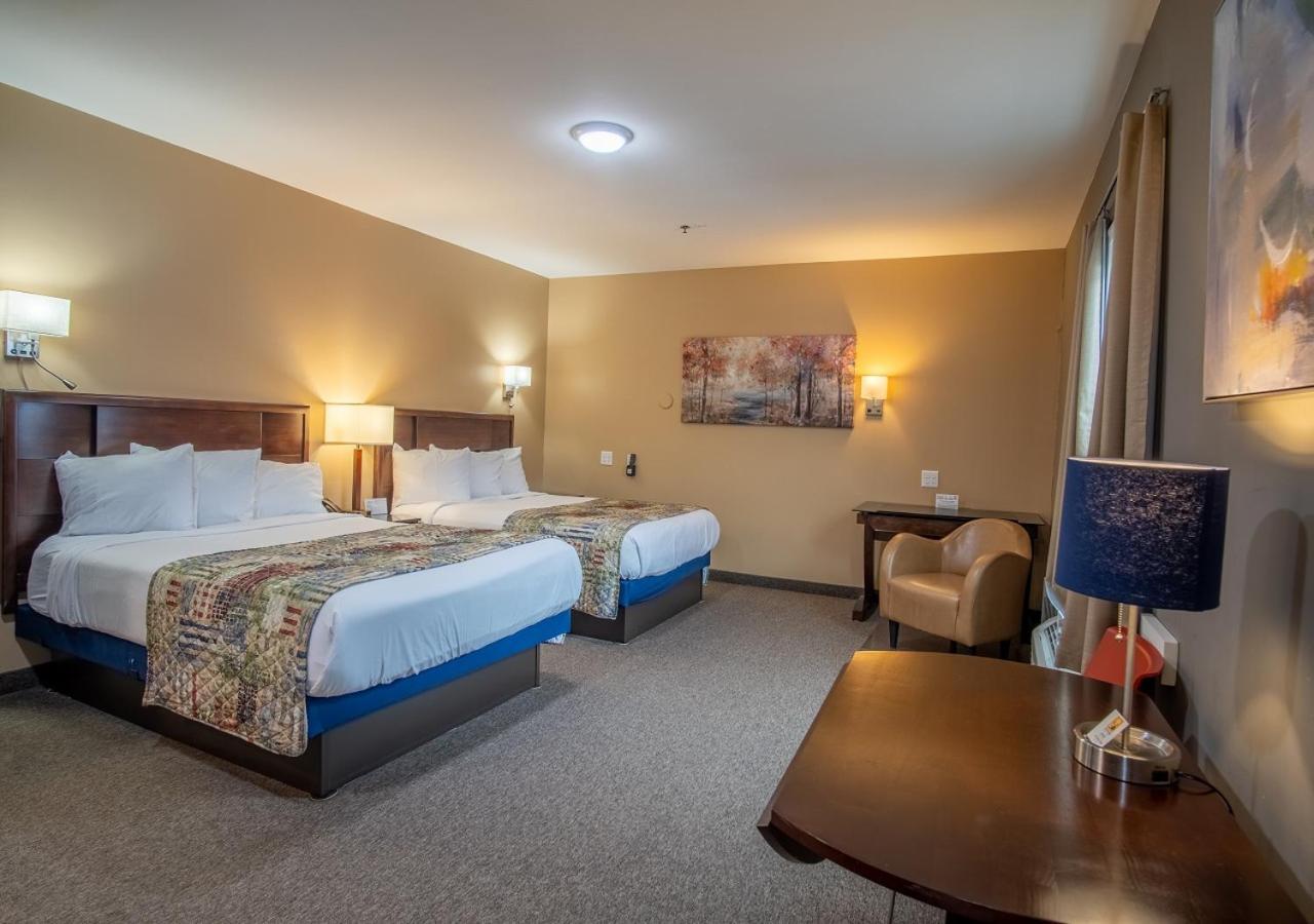 Hotel Dushore Dış mekan fotoğraf